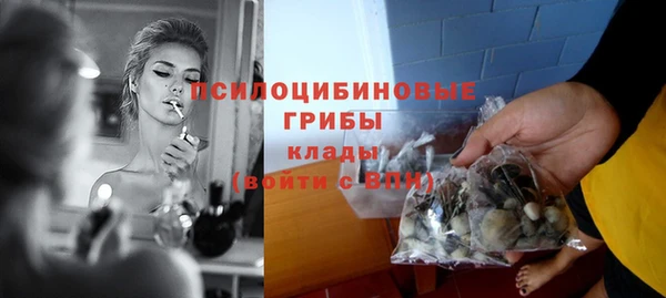 дмт Нефтегорск