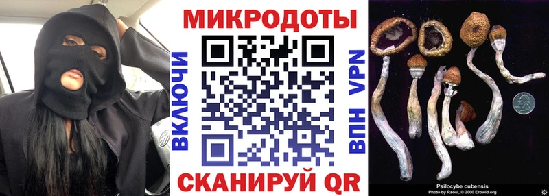 Псилоцибиновые грибы прущие грибы Луза